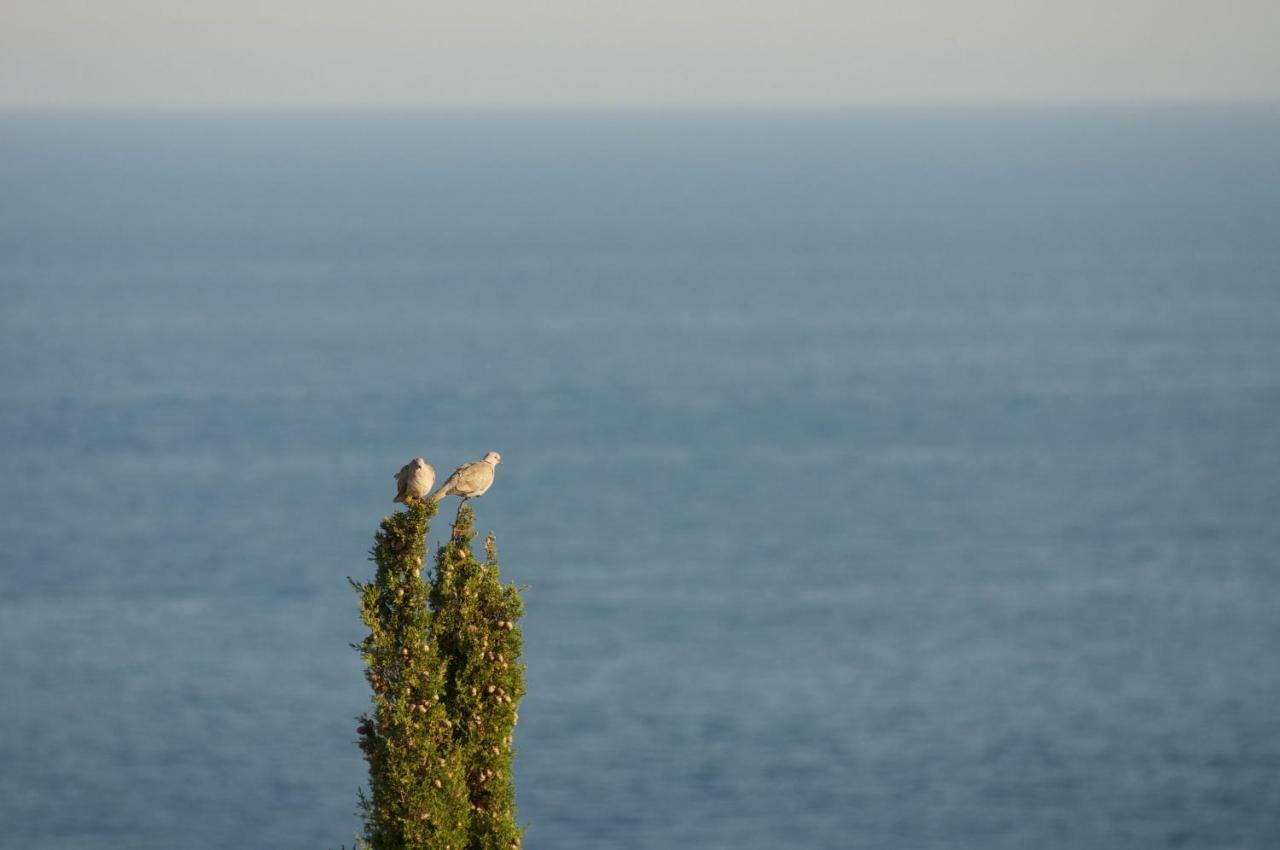 Appartamento vista mare Théoule-sur-Mer Esterno foto